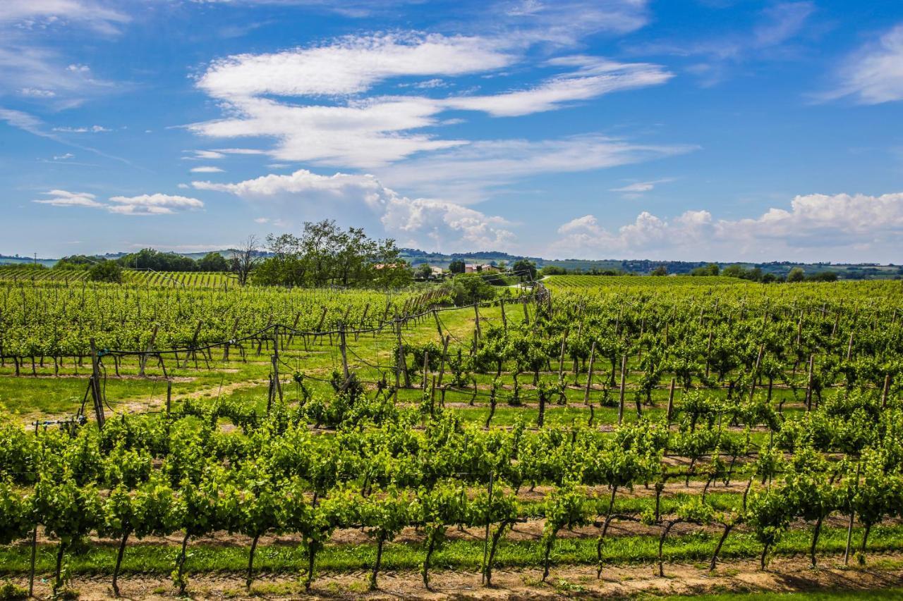 Agriturismo Trere Faenza Ngoại thất bức ảnh